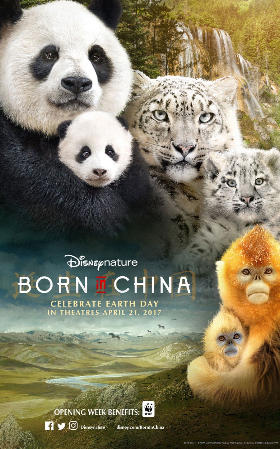 Divx Movies Dvd Born In China (2017) Web-dl