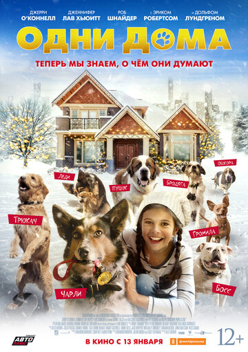 Одни дома (2021) Pups Alone