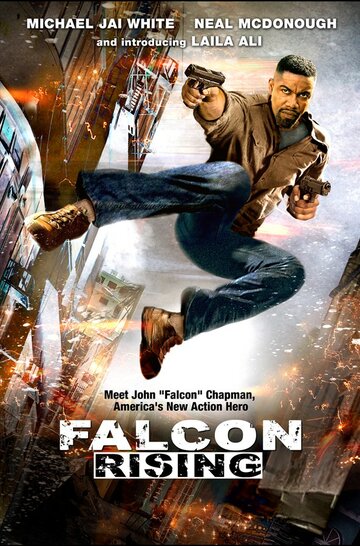 Восхождение Сокола (Falcon Rising)