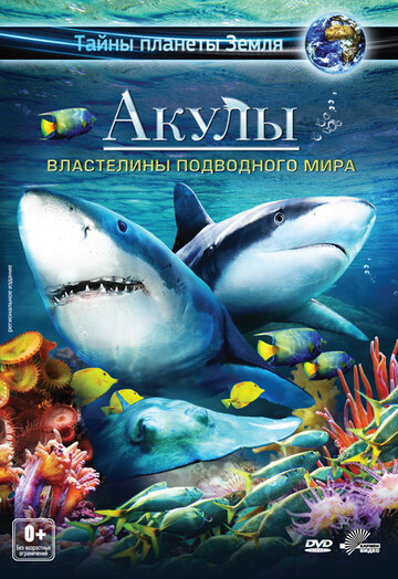 Акулы 3D: Властелины подводного мира (Sharks 3D: Kings of the Ocean)