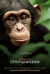 Шимпанзе / Chimpanzee (2012)