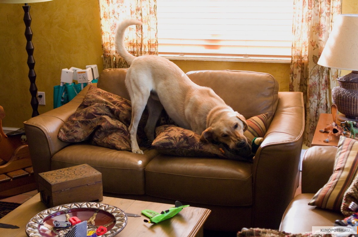 marley and me movie review marley and me movie review