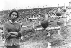 Подсолнухи