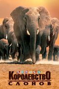 Африка – королевство слонов (Africa's Elephant Kingdom)