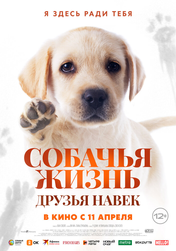 Постер Собачья жизнь: Друзья навек 2023
