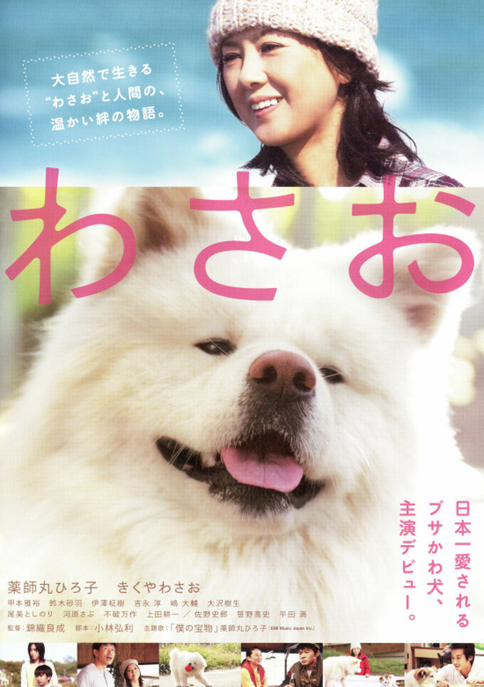Постер Васао 2011