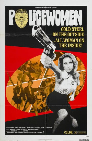 Скачать фильм Женщины-полицейские 1974