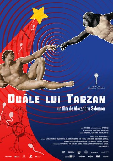 Постер к фильму Сокровище Тарзана (2017)