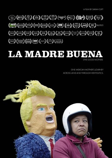 Постер к фильму Хорошая мать (2017)