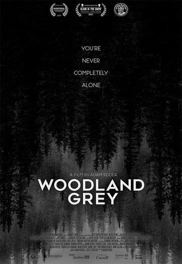 Постер к фильму Серый лес (2022)