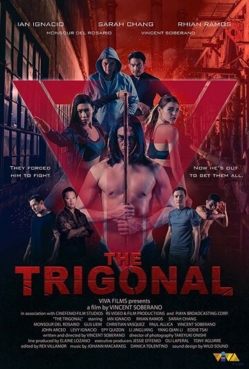 Постер к фильму Тригонал: Борьба за справедливость (2018)
