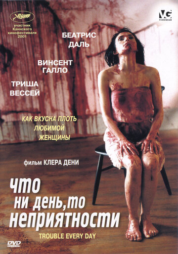 Постер к фильму Что ни день, то неприятности (2001)