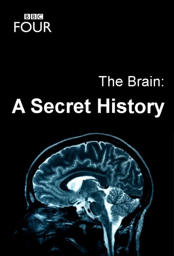 Постер к сериалу Мозг. Тайны сознания (2011)