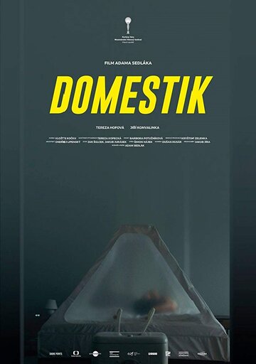 Постер к фильму Домашний режим (2018)