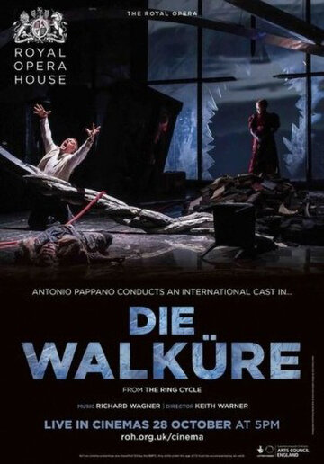 Постер к фильму Валькирия (2018)