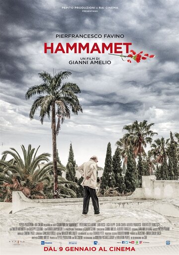 Постер к фильму Хаммамет (2020)