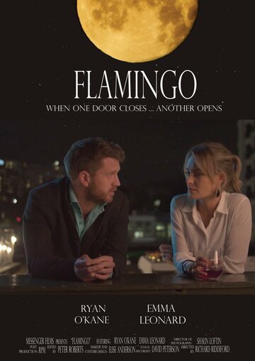 Постер к фильму Фламинго (2020)