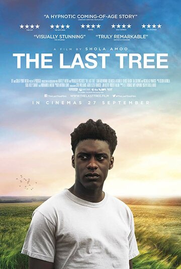Скачать фильм Последнее дерево 2019