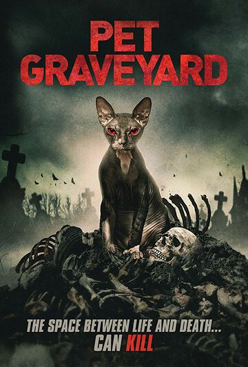 Постер к фильму Кладбище домашних животных (2019)