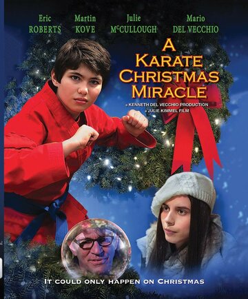 Постер к фильму Рождественское чудо в стиле карате (2019)