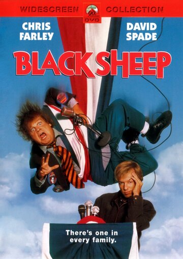 Постер к фильму Паршивая овца (1996)