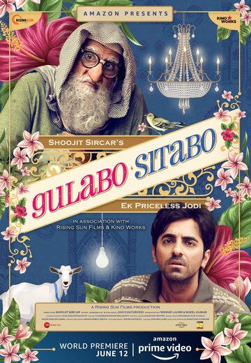 Постер к фильму Гулабо и Ситабо (2020)