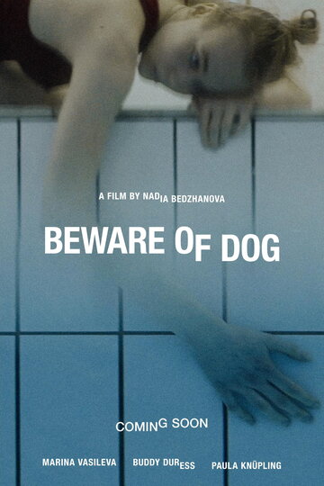 Постер к фильму Остерегайся псов (2020)