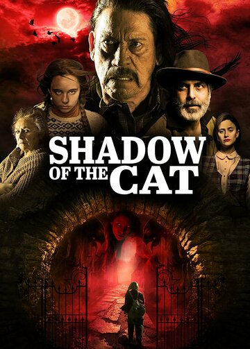 Постер к фильму Тень кота (2021)