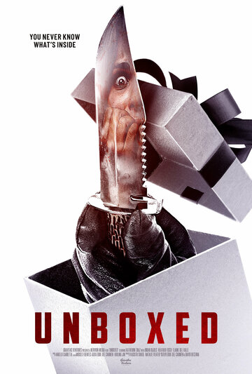 Постер к фильму Распаковка (2022)