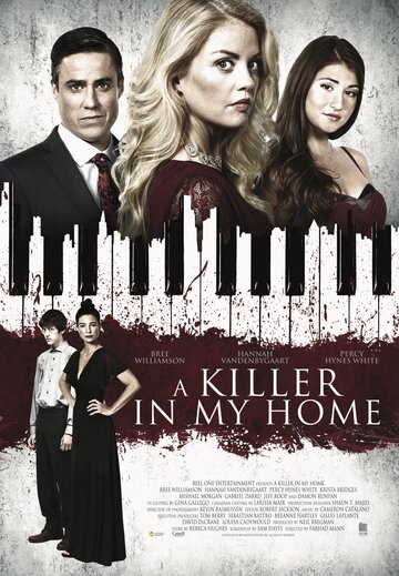 Постер к фильму Убийца в доме (2020)