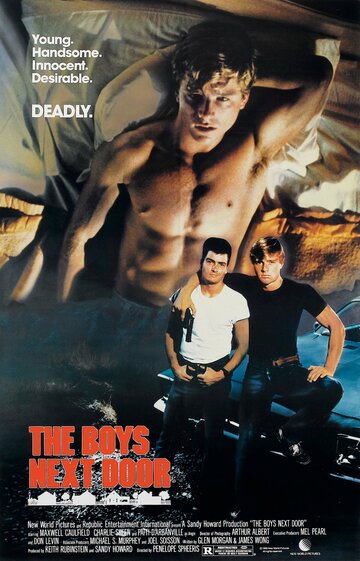 Постер к фильму Соседские мальчишки (1985)