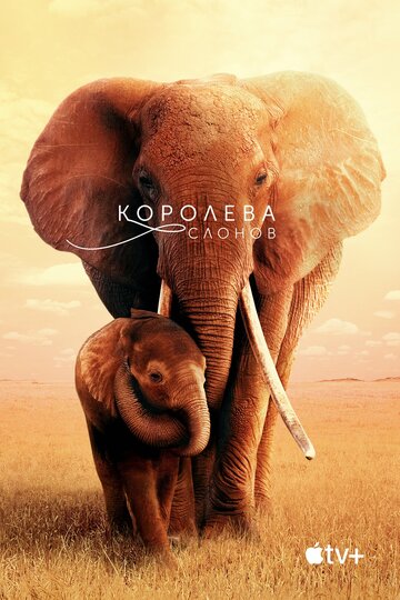 Постер к фильму Королева слонов (2019)