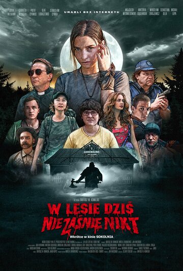 Постер к фильму Никто сегодня не спит в лесу (2020)