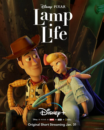Постер к фильму Жизнь лампы (2020)