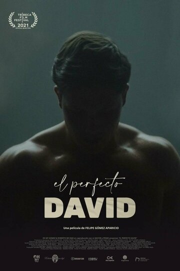 Постер к фильму Идеальный Давид (2021)