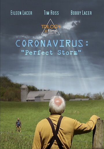 Постер к фильму Коронавирус: Идеальный шторм (2020)