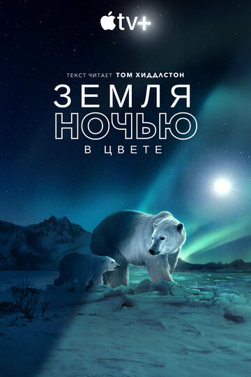Постер к сериалу Земля ночью в цвете (2020)