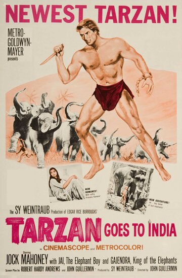 Скачать фильм Тарзан едет в Индию 1962
