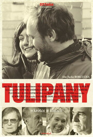 Постер к фильму Тюльпаны (2004)