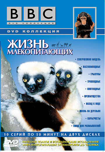 Постер к сериалу BBC: Жизнь млекопитающих (2002)