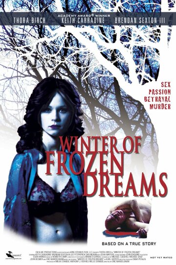 Постер к фильму Зима замерзших надежд (2009)