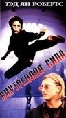 Постер к фильму Внутренняя сила (видео) (1995)