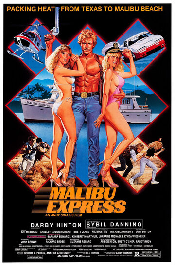 Постер к фильму Малибу-экспресс (1985)