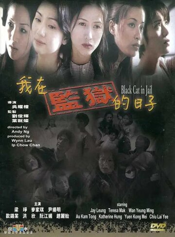 Постер к фильму Чёрная кошка 3: В тюрьме (2000)