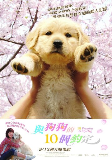 Постер к фильму 10 обещаний моей собаке (2008)