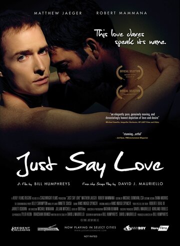 Постер к фильму Только скажи... люблю (2009)