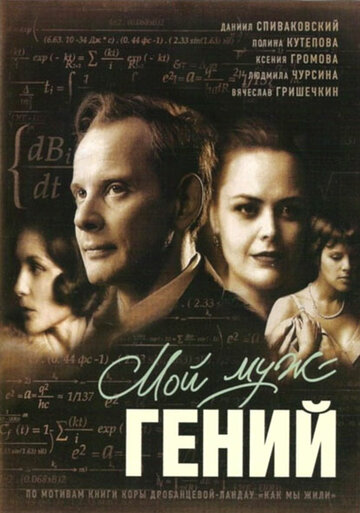 Постер к фильму Мой муж – гений (2008)