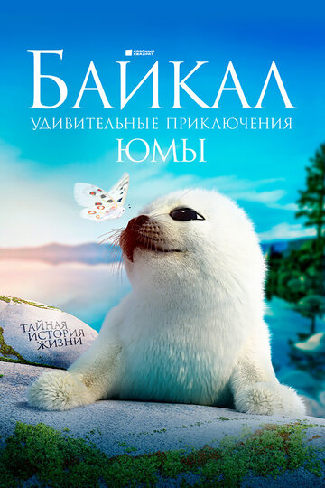 Постер к фильму Байкал. Удивительные приключения Юмы (2020) (2020)