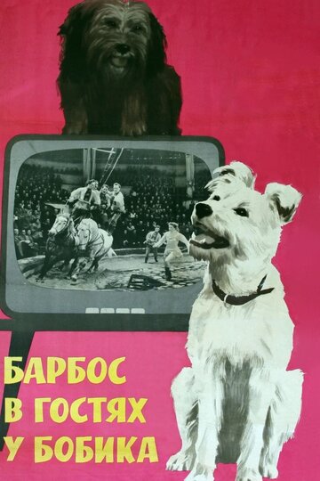 Постер к фильму Барбос в гостях у Бобика (1964)