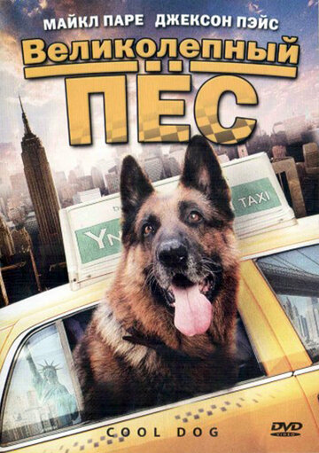 Постер к фильму Великолепный пес (2010)